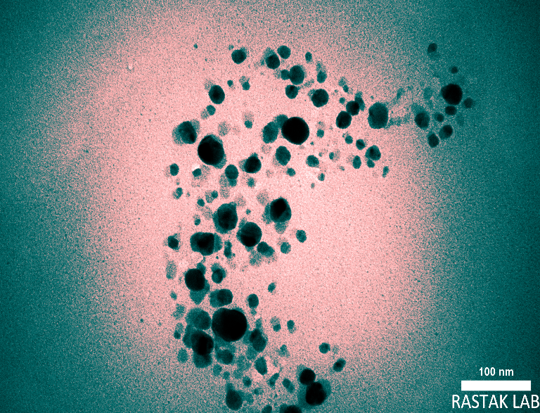 TEM Images of Ag NPs/C