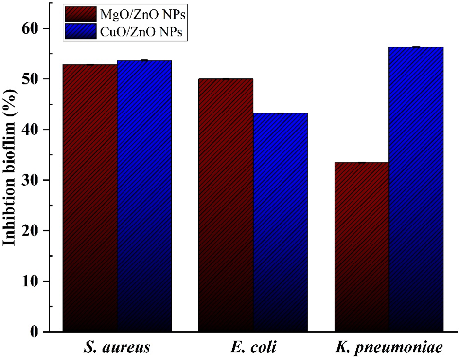 Biofilm inhibitory activity of MgO/ZnO NPs and CuO/ZnO NPs core/shell NPs