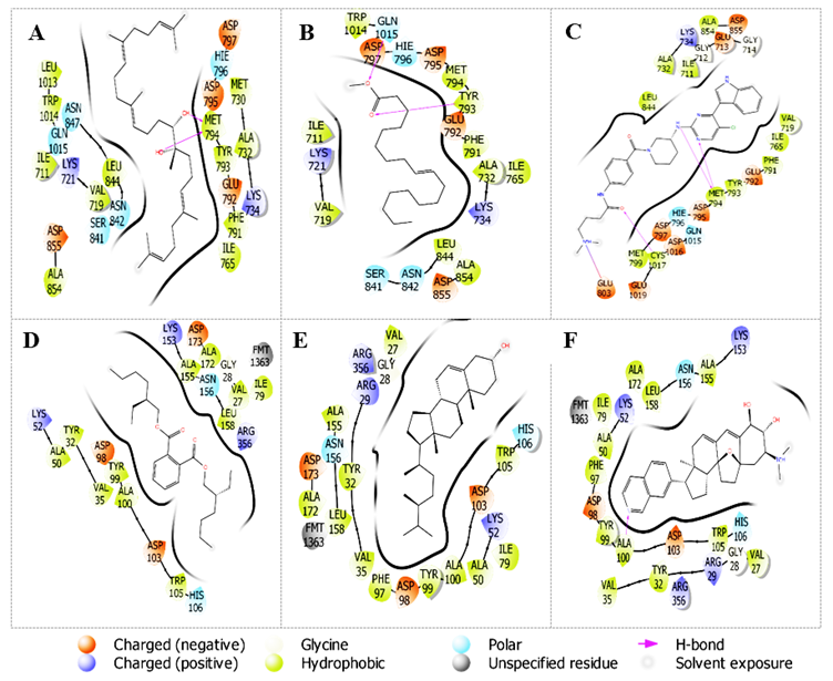 Binding pocket and two-dimensional interactions between the receptors and the hit compounds